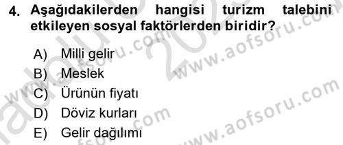 Turizm Ekonomisi Dersi Ara Sınavı Deneme Sınav Soruları 4. Soru