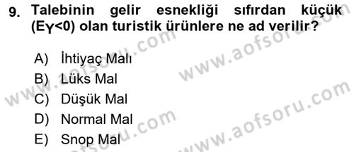 Turizm Ekonomisi Dersi Ara Sınavı Deneme Sınav Soruları 9. Soru
