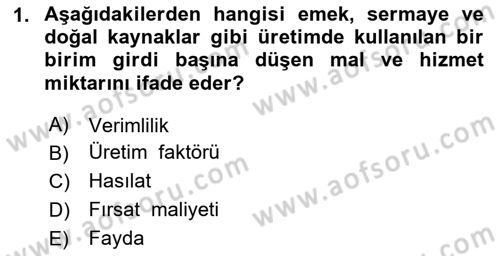 Turizm Ekonomisi Dersi 2023 - 2024 Yılı Yaz Okulu Sınav Soruları 1. Soru
