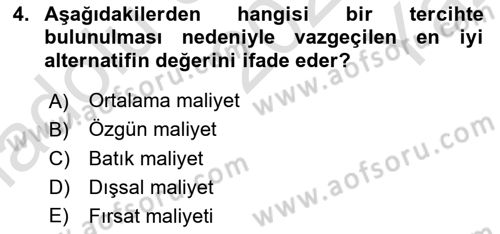 Turizm Ekonomisi Dersi 2023 - 2024 Yılı Yaz Okulu Sınav Soruları 4. Soru