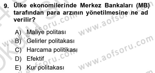 Turizm Ekonomisi Dersi 2023 - 2024 Yılı Yaz Okulu Sınav Soruları 9. Soru