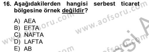 Uluslararası İktisat Dersi 2012 - 2013 Yılı (Vize) Ara Sınav Soruları 16. Soru