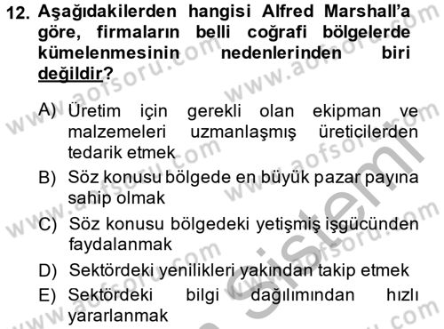 Uluslararası İktisat Dersi 2013 - 2014 Yılı (Vize) Ara Sınav Soruları 12. Soru