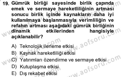 Uluslararası İktisat Dersi 2013 - 2014 Yılı (Vize) Ara Sınav Soruları 19. Soru