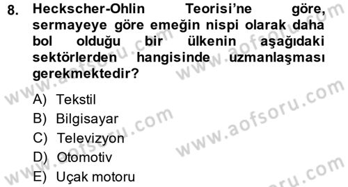 Uluslararası İktisat Dersi 2013 - 2014 Yılı (Vize) Ara Sınav Soruları 8. Soru