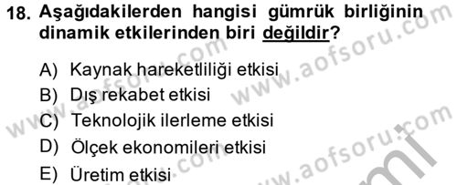 Uluslararası İktisat Dersi 2014 - 2015 Yılı (Vize) Ara Sınav Soruları 18. Soru