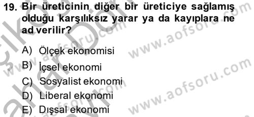 Uluslararası İktisat Dersi 2014 - 2015 Yılı (Vize) Ara Sınav Soruları 19. Soru