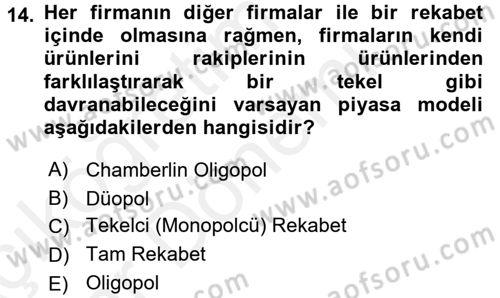 Uluslararası İktisat Dersi 2015 - 2016 Yılı (Vize) Ara Sınav Soruları 14. Soru