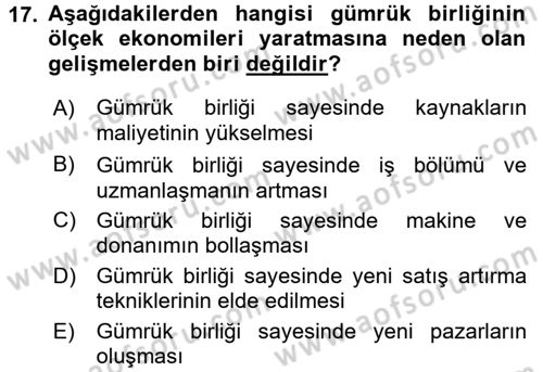 Uluslararası İktisat Dersi 2015 - 2016 Yılı (Vize) Ara Sınav Soruları 17. Soru