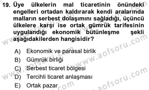 Uluslararası İktisat Dersi 2015 - 2016 Yılı (Vize) Ara Sınav Soruları 19. Soru