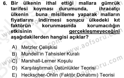 Uluslararası İktisat Dersi 2015 - 2016 Yılı (Vize) Ara Sınav Soruları 6. Soru