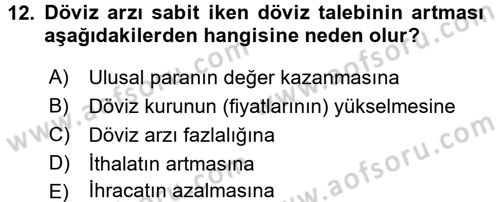 Uluslararası İktisat Dersi 2016 - 2017 Yılı 3 Ders Sınav Soruları 12. Soru