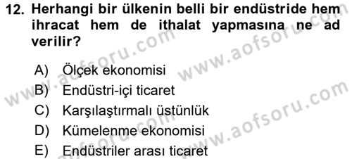 Uluslararası İktisat Dersi 2016 - 2017 Yılı (Vize) Ara Sınav Soruları 12. Soru