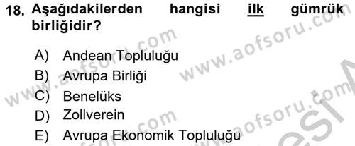 Uluslararası İktisat Dersi 2016 - 2017 Yılı (Vize) Ara Sınav Soruları 18. Soru
