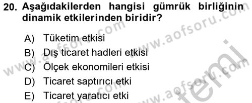 Uluslararası İktisat Dersi 2016 - 2017 Yılı (Vize) Ara Sınav Soruları 20. Soru