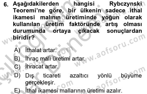 Uluslararası İktisat Dersi 2016 - 2017 Yılı (Vize) Ara Sınav Soruları 6. Soru