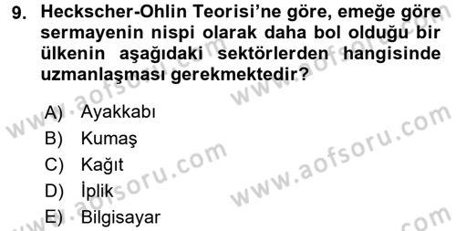 Uluslararası İktisat Dersi 2016 - 2017 Yılı (Vize) Ara Sınav Soruları 9. Soru