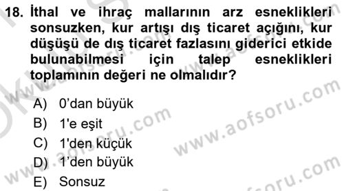 Uluslararası İktisat Dersi 2020 - 2021 Yılı Yaz Okulu Sınav Soruları 18. Soru