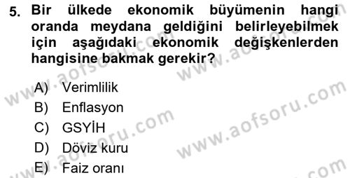 Uluslararası İktisat Dersi 2020 - 2021 Yılı Yaz Okulu Sınav Soruları 5. Soru