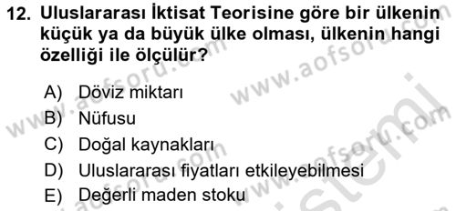 Uluslararası İktisat Dersi 2021 - 2022 Yılı (Vize) Ara Sınav Soruları 12. Soru