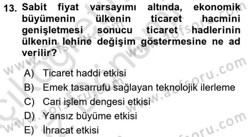 Uluslararası İktisat Dersi 2021 - 2022 Yılı (Vize) Ara Sınav Soruları 13. Soru