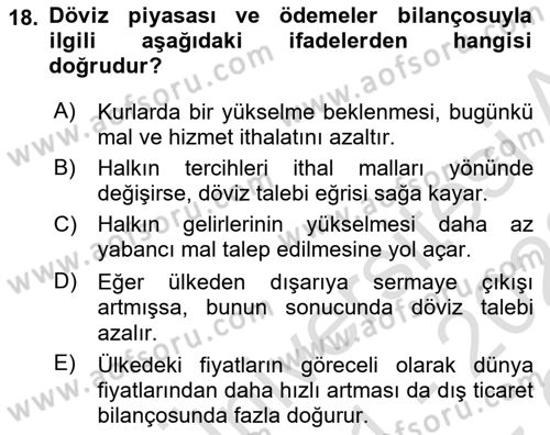 Uluslararası İktisat Dersi 2021 - 2022 Yılı Yaz Okulu Sınav Soruları 18. Soru