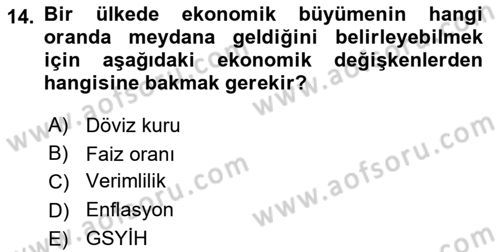 Uluslararası İktisat Dersi 2022 - 2023 Yılı (Vize) Ara Sınav Soruları 14. Soru