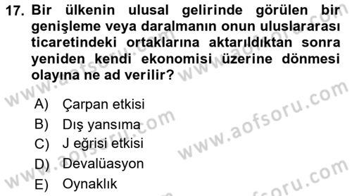 Uluslararası İktisat Dersi 2022 - 2023 Yılı (Final) Dönem Sonu Sınav Soruları 17. Soru