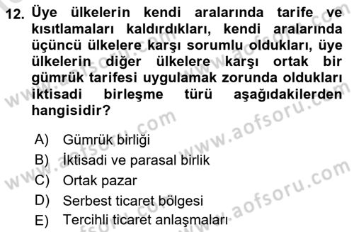 Uluslararası İktisat Dersi 2022 - 2023 Yılı Yaz Okulu Sınav Soruları 12. Soru