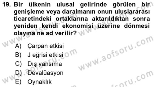 Uluslararası İktisat Dersi 2022 - 2023 Yılı Yaz Okulu Sınav Soruları 19. Soru