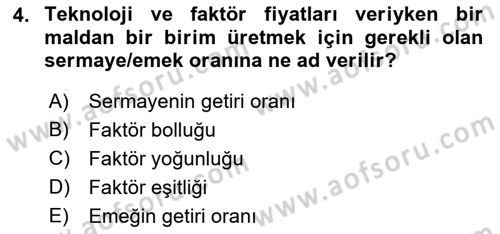 Uluslararası İktisat Dersi 2022 - 2023 Yılı Yaz Okulu Sınav Soruları 4. Soru
