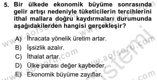 Uluslararası İktisat Dersi 2022 - 2023 Yılı Yaz Okulu Sınav Soruları 5. Soru