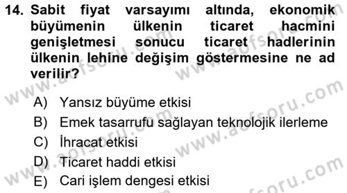 Uluslararası İktisat Dersi 2023 - 2024 Yılı (Vize) Ara Sınav Soruları 14. Soru