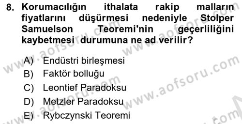 Uluslararası İktisat Dersi 2023 - 2024 Yılı (Vize) Ara Sınav Soruları 8. Soru