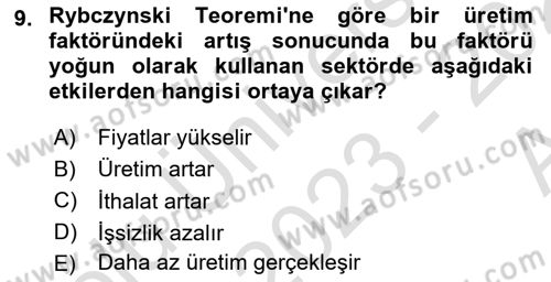 Uluslararası İktisat Dersi 2023 - 2024 Yılı (Vize) Ara Sınav Soruları 9. Soru