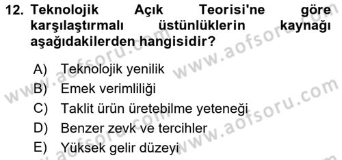 Uluslararası İktisat Dersi 2024 - 2025 Yılı (Vize) Ara Sınav Soruları 12. Soru