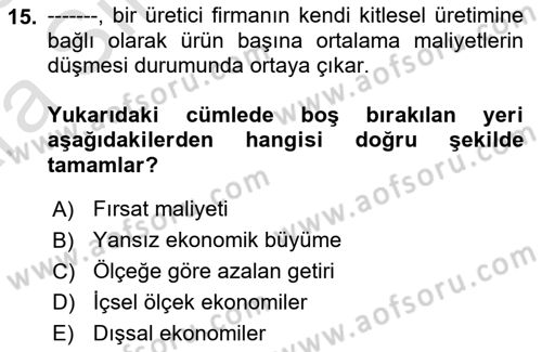 Uluslararası İktisat Dersi 2024 - 2025 Yılı (Vize) Ara Sınav Soruları 15. Soru