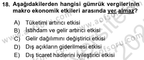 Uluslararası İktisat Dersi 2024 - 2025 Yılı (Vize) Ara Sınav Soruları 18. Soru
