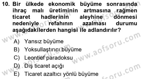 Uluslararası İktisat Dersi 2024 - 2025 Yılı (Final) Dönem Sonu Sınav Soruları 10. Soru