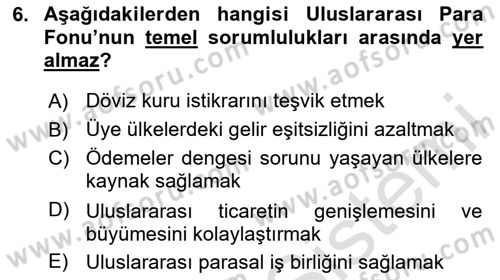 Uluslararası İktisat Dersi 2024 - 2025 Yılı (Final) Dönem Sonu Sınav Soruları 6. Soru