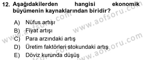 Uluslararası İktisat Dersi 2024 - 2025 Yılı Yaz Okulu Sınav Soruları 12. Soru
