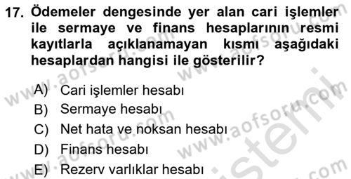 Uluslararası İktisat Dersi 2024 - 2025 Yılı Yaz Okulu Sınav Soruları 17. Soru