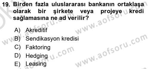 Uluslararası İktisat Dersi 2024 - 2025 Yılı Yaz Okulu Sınav Soruları 19. Soru
