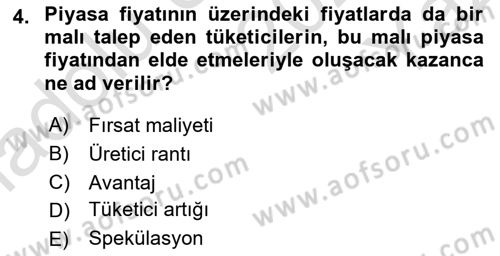Uluslararası İktisat Dersi 2024 - 2025 Yılı Yaz Okulu Sınav Soruları 4. Soru