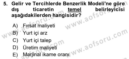 Uluslararası İktisat Dersi 2024 - 2025 Yılı Yaz Okulu Sınav Soruları 5. Soru