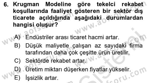 Uluslararası İktisat Dersi 2024 - 2025 Yılı Yaz Okulu Sınav Soruları 6. Soru