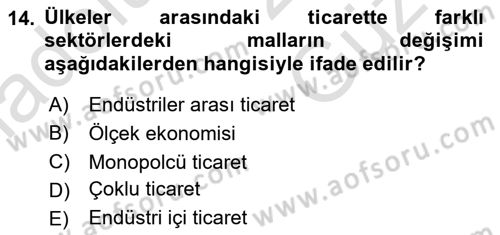 Uluslararası İktisat Dersi 2025 - 2026 Yılı (Vize) Ara Sınav Soruları 14. Soru