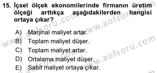 Uluslararası İktisat Dersi 2025 - 2026 Yılı (Vize) Ara Sınav Soruları 15. Soru