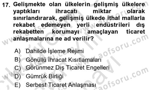 Uluslararası İktisat Dersi 2025 - 2026 Yılı (Vize) Ara Sınav Soruları 17. Soru