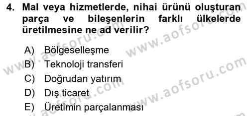 Uluslararası İktisat Dersi 2025 - 2026 Yılı (Vize) Ara Sınav Soruları 4. Soru